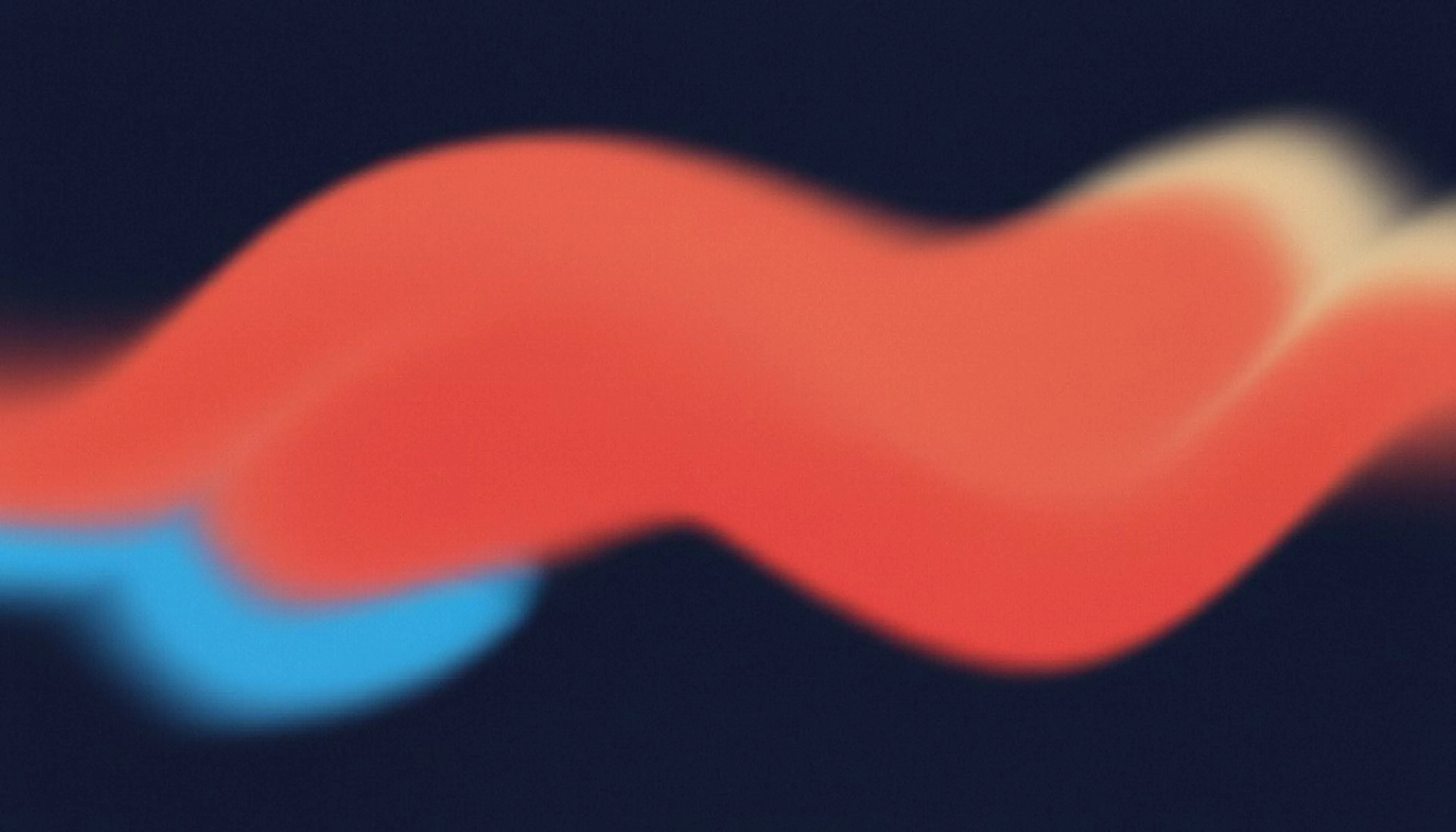 Migrating PrestaShop to Shopify With a Domain Change Without Starting From Scratch