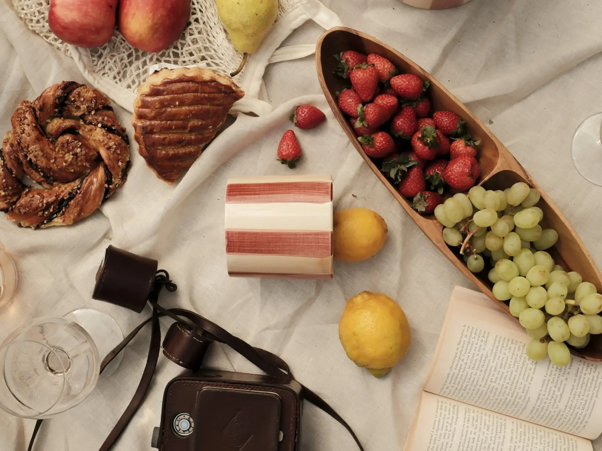 Picnic cloth with strawberries, grapes, pastries, lemons, an open book and a camera