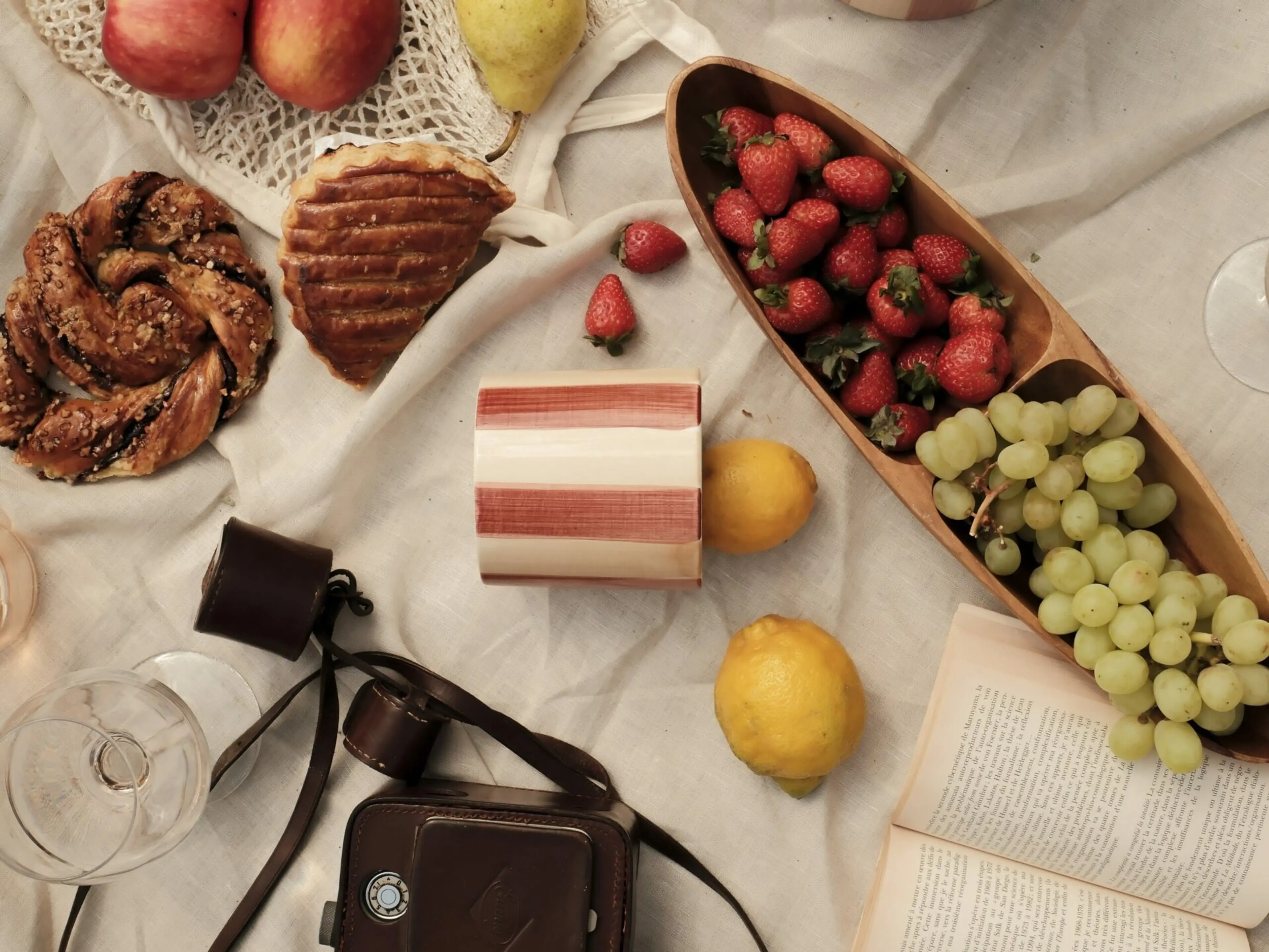 Nappe de pique-nique avec fraises, raisins, pâtisseries, citrons, un livre ouvert et un appareil photo